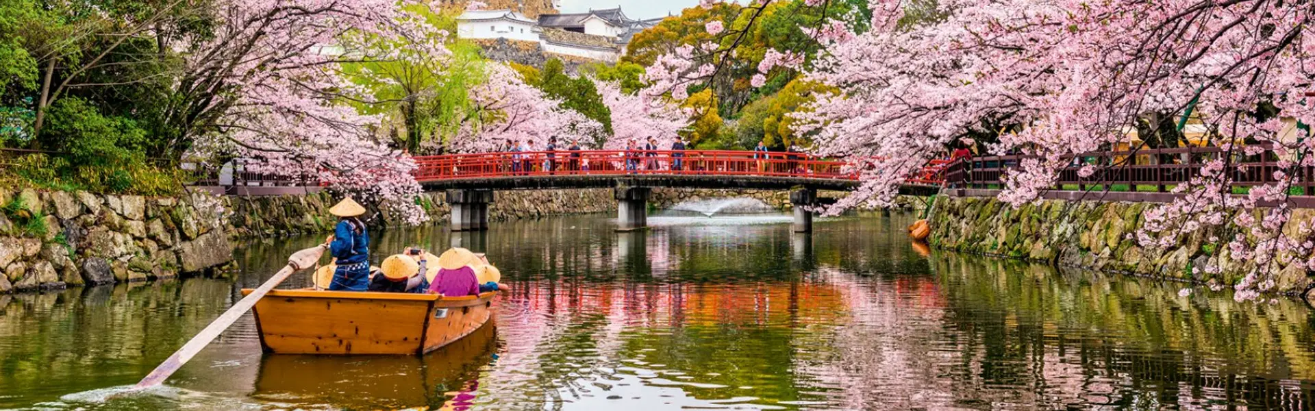 Promoción Japón, Corea y China