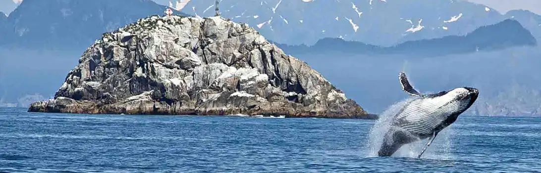 Kenai Fjords National Park