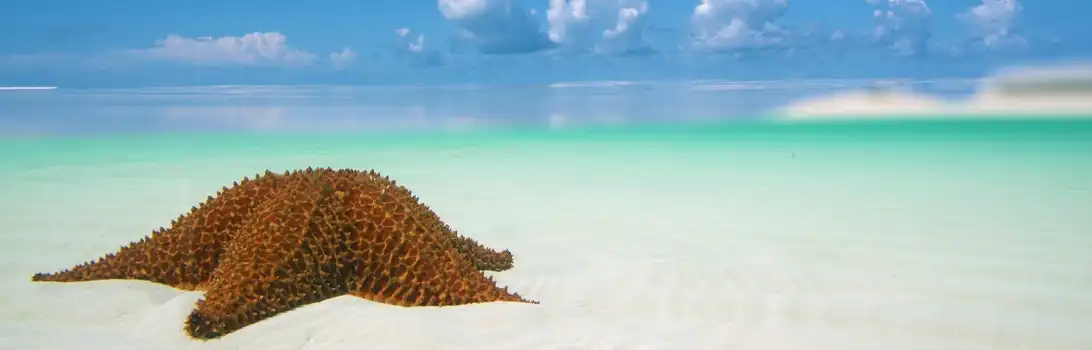 Staniel Cay