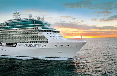 Imagen de Celebrity Silhouette