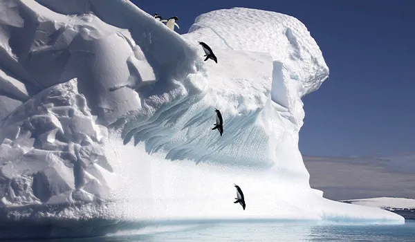 antarctic-peninsula